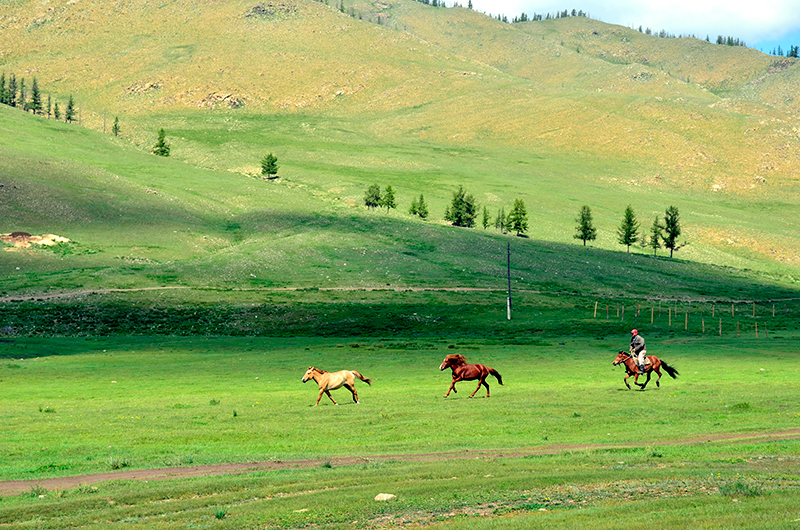 Mongolian horseman